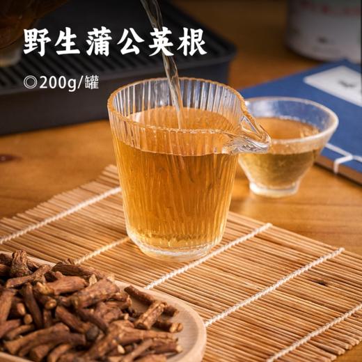 野生蒲公英根 | 采自大兴安岭 精选粗壮饱满足龄根 汤色纯正 微苦回甘 结节友好 商品图0