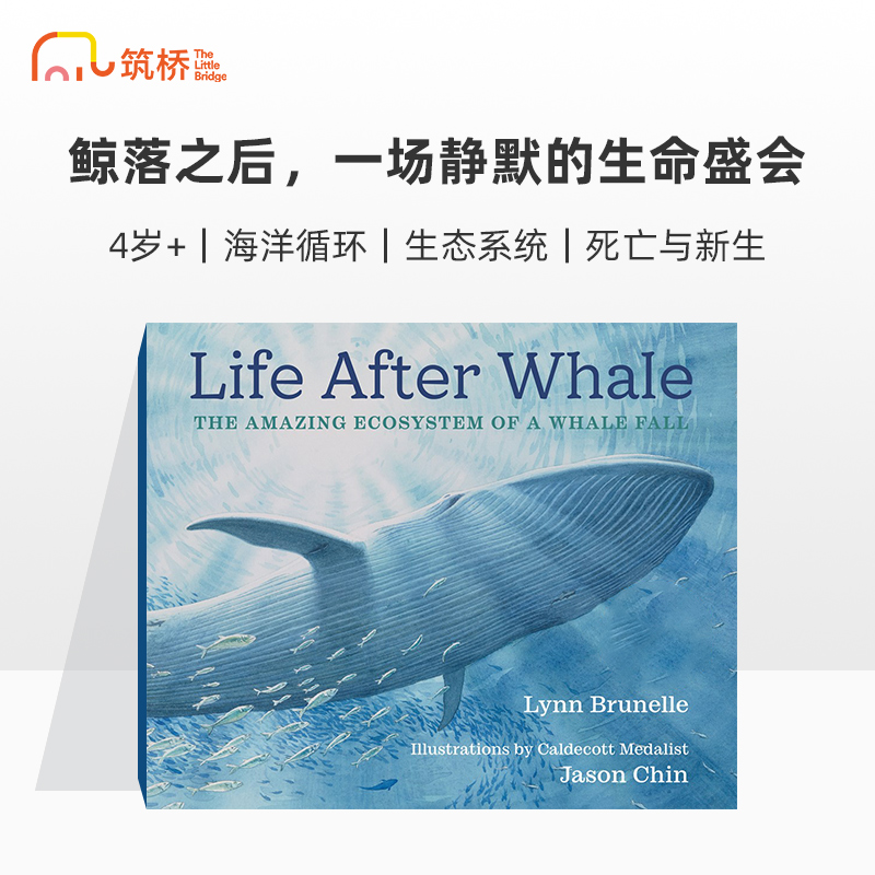 Life After Whale 鲸落之后