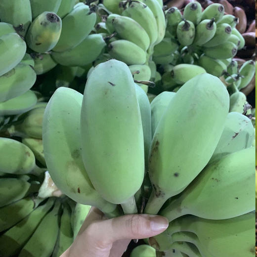 农家自然熟苹果蕉香蕉 商品图3