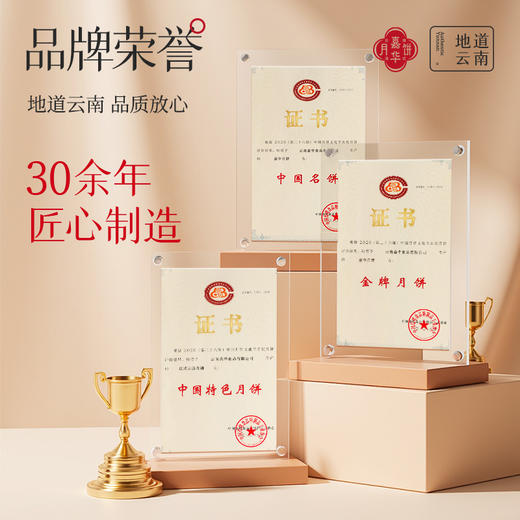 嘉华月饼 嘉华经典云腿月饼礼盒 480g 商品图8