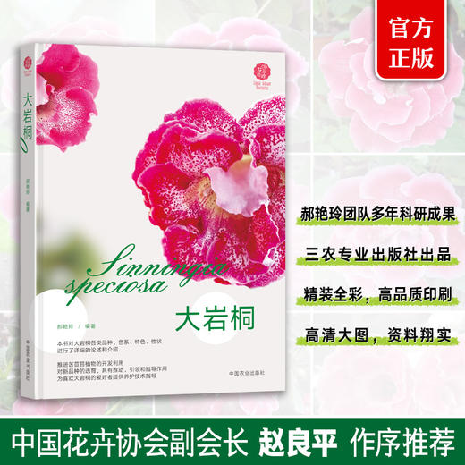 大岩桐（品种、选育、色系、特色、性状、养护） 商品图0