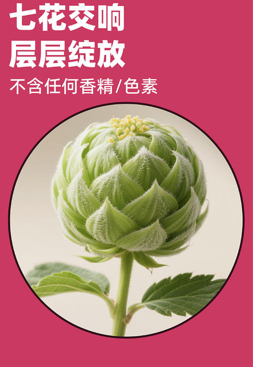 自营（昔禾 ）-七重奏浑浊IPA精酿啤酒  中高端顺丰冷链发货 口感更加 商品图5