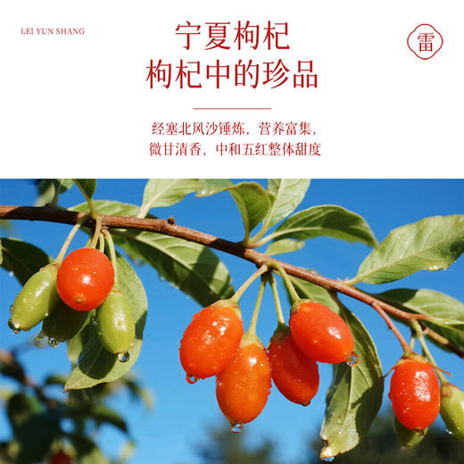 雷允上五红粉360g/罐 商品图4