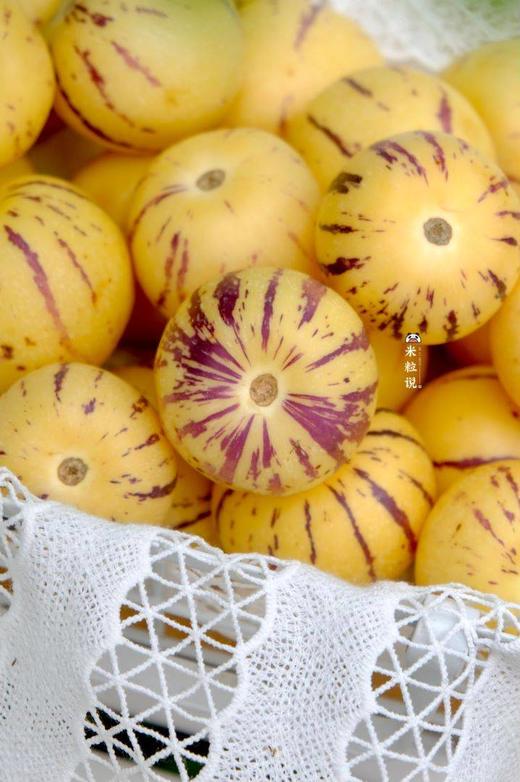 【石林人参果】石林人参果，果肉金黄，肉质细腻，口感清甜、多汁，风味独特-CC 商品图11