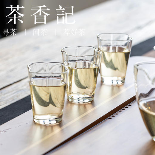 茶香记栀子花银针025轻柔淡雅栀子花香窨制工艺好原料奶泡好喝可存可饮 商品图5