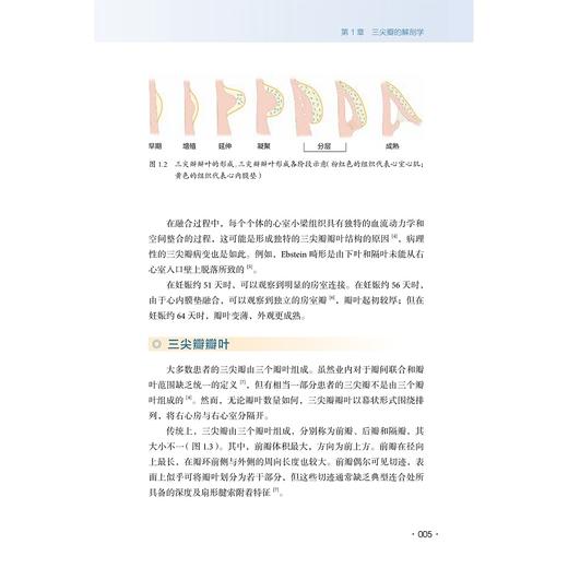 三尖瓣疾病: 评估与管理综合指南/胡盛寿院士王春生教授作序推荐/[美]汉西·马特利尔/[美]斯科特·M. 利利/[美]萨提亚·斯里尼瓦斯 原著主编/马量/李伟栋 主译/浙江大学出版社 商品图3