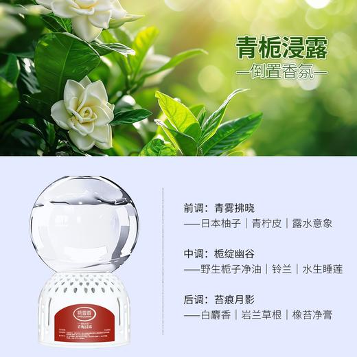 【第二瓶立减10❗倒置香氛】大自然植物萃取，多维去异味，原料温和无毒，三维空间蓬松多孔，随气流扩香更迅速，持久留香卫生间除臭去异味浴室空气清新抖音同款QQ 商品图6