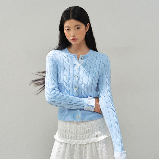 Ariseism 美式复古绞花毛衣女秋季新款修身针织上衣 商品图3