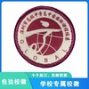 通版深圳市高级中学高中园国际课程体系包边校徽章可缝烫现货发51 商品缩略图0