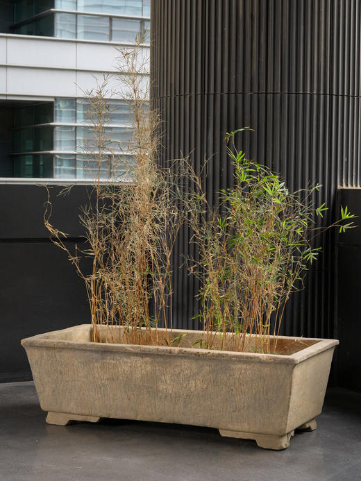 清	石雕长方赏盆 商品图0