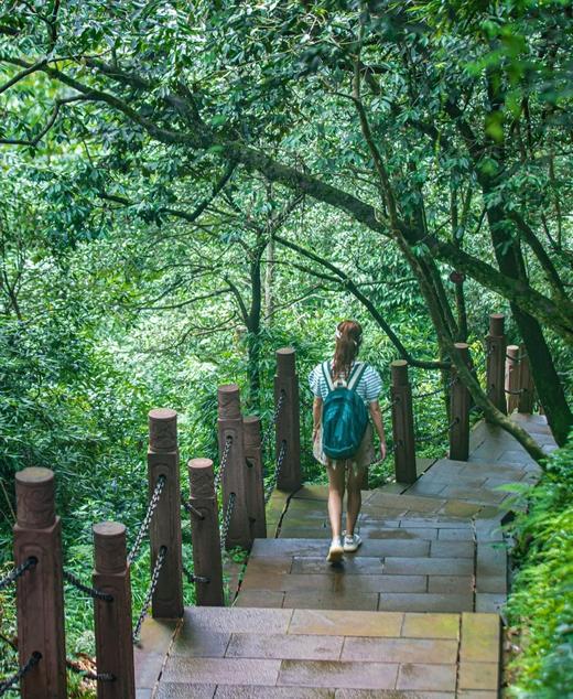 瓦屋山10.9-11.30免门票【瓦屋山汀颐酒店】雅女湖畔，瓦屋山下！低至￥228抢1间/￥436抢2间（可拆分），赏瓦屋山绝壁栈道、飞瀑绿野、戏水拍照··· 商品图5