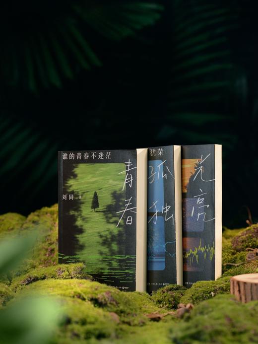 刘同成长系列《谁的青春不迷茫》《你的孤独虽败犹荣》《向着光亮那方》 商品图5