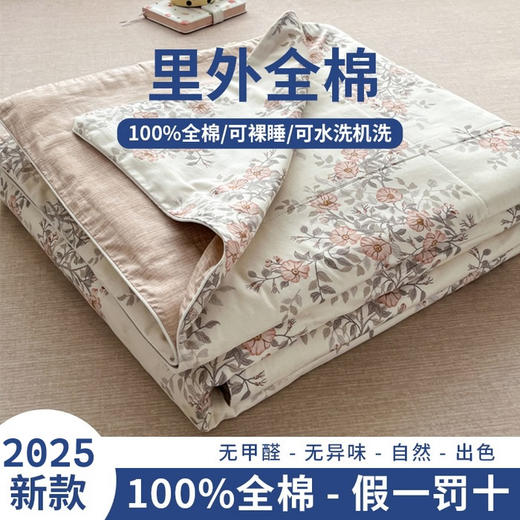 三泰龙 里外全棉新疆棉花芯春秋双人被【春秋被】 商品图10