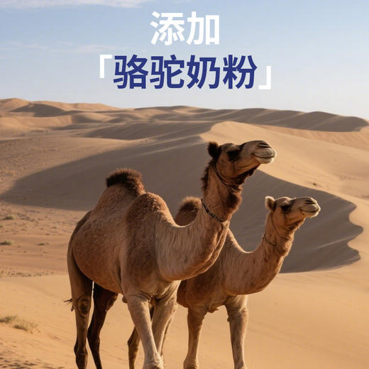 驼乳氨基酸蛋白质粉 900g/桶 有效期20280101 商品图9