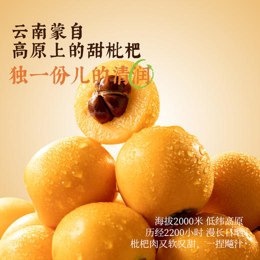 可可满分 中式茶饮系列 500ml 多口味组合 商品图11