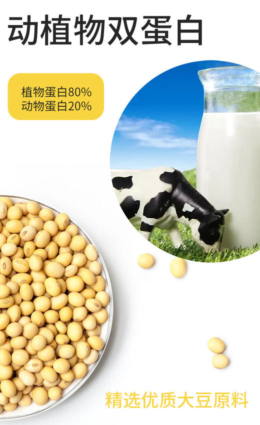 SC 驼乳免益多维蛋白质粉 900g/桶 有效期20280101 商品图3