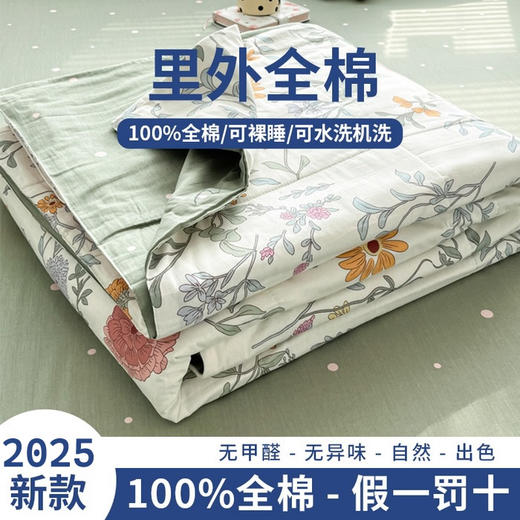 三泰龙 里外全棉新疆棉花芯春秋双人被【春秋被】 商品图12