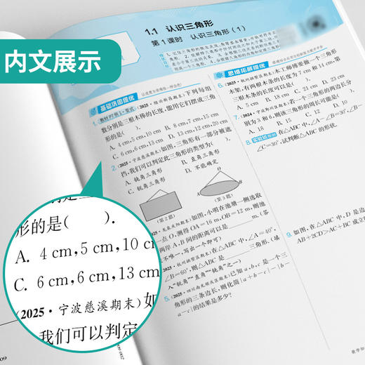 2025秋 【 浙教版】八年级数学上 实验班提优训练 商品图3