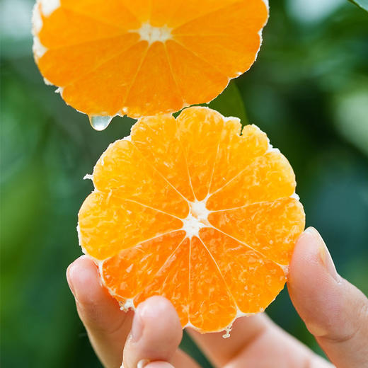 橙诵江西寻乌蜜桔 3-4.5斤装 橘子新鲜水果 顺丰/京东直发 商品图0