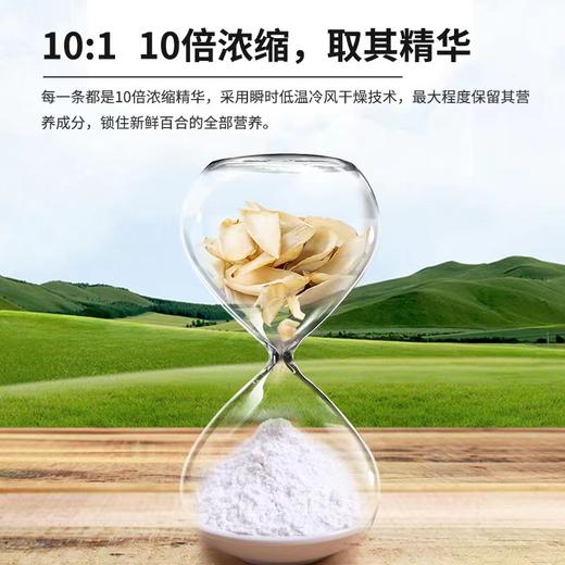 【甄选】百合精粹粉精选兰州百合配料纯净无额外添加75g（5g*15条）/盒 商品图1