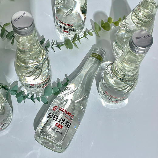 【会员专享】忠芝4月白桦树原汁 白桦汁原液无添加自然植物饮料整箱 商品图5