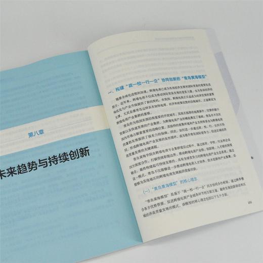 应用型跨境电商专业集群建设研究与实践 跨境电商电商产教融合人才短缺人才培养理论实践路径 产业经管书籍 商品图4
