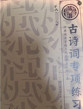 《古诗词专项练习》  仅对合作校出售