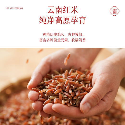 雷允上五红粉360g/罐 商品图3