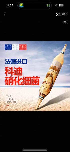 科迪硝化细菌 30支/盒 1ML/支