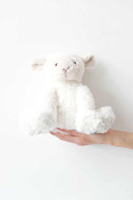 被可爱到了。。。卷毛儿玩偶合集。安抚毛绒礼物玩具娃娃C082666 商品图7