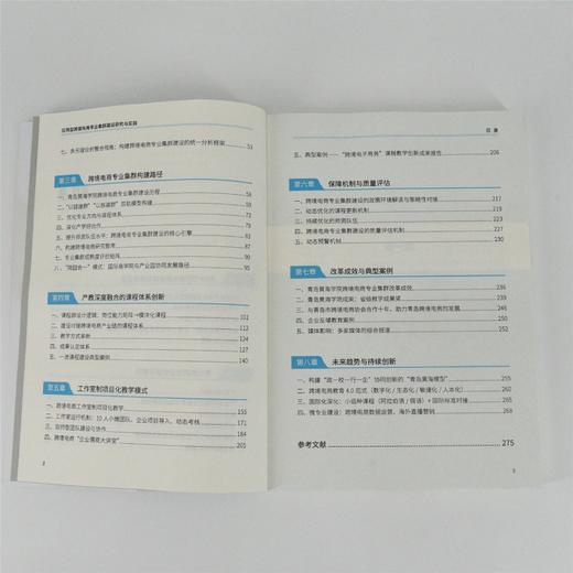 应用型跨境电商专业集群建设研究与实践 跨境电商电商产教融合人才短缺人才培养理论实践路径 产业经管书籍 商品图2