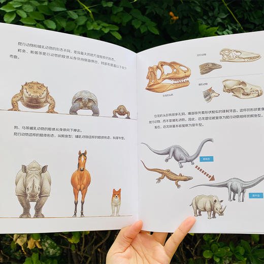 [2025新]科学之友系列2-12岁全覆盖 商品图4