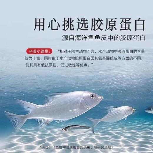 白燕丝胶原蛋白冰糖燕窝（70g*8瓶） 商品图4