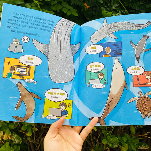 [2025新]科学之友系列2-12岁全覆盖 商品图2
