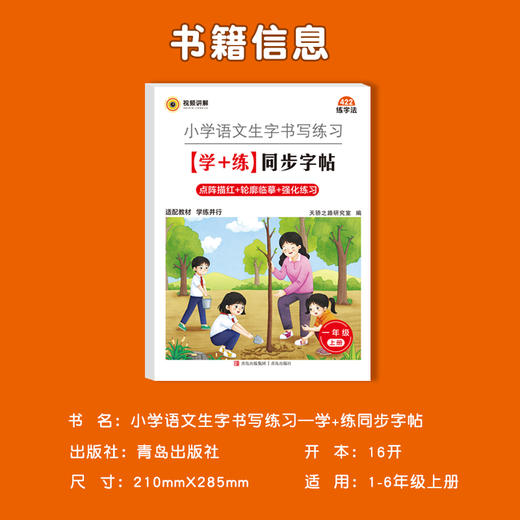 【同步字帖】小学语文生字书写练习学+练同步字帖1-6年级上25同步教材 商品图1