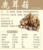 周五取货：【干鹿茸菇】一袋100克，天然滋补，营养丰富。 商品缩略图2