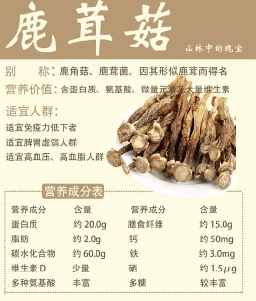 周五取货：【干鹿茸菇】一袋100克，天然滋补，营养丰富。 商品图2