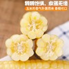云南西双版纳拇指玉米 商品缩略图2