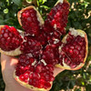 【分销】四川会理软籽石榴  清新不腻口，生态种植，清甜多汁 商品缩略图1