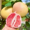 新鲜水果 果肉细腻 巴掌小红柚 2枚 商品缩略图0