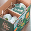 橙诵江西寻乌蜜桔 3-4.5斤装 橘子新鲜水果 顺丰/京东直发 商品缩略图13