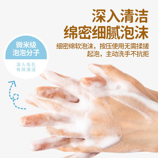 【买2送1 葵花香氛泡沫洗手液 】果味按压泡泡清香洗手液 家用儿童洗手液 商品图2