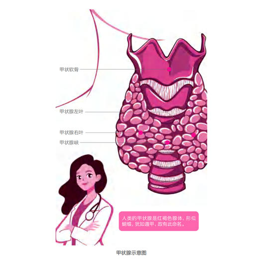 《激素的秘密》 商品图9