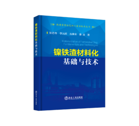 镍铁渣材料化基础与技术