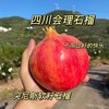 会理软籽石榴 甄选精品大果礼盒装 自然成熟  清甜爆汁 商品缩略图3