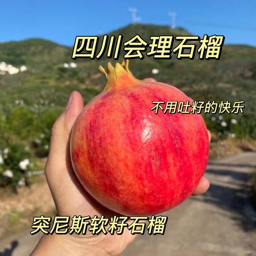 会理软籽石榴 甄选精品大果礼盒装 自然成熟  清甜爆汁 商品图3