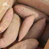 生态红薯（山东：蜜薯/哈密白/老品种山药白）| 合作生产*Ecological sweet potato| Partner Production 商品缩略图3