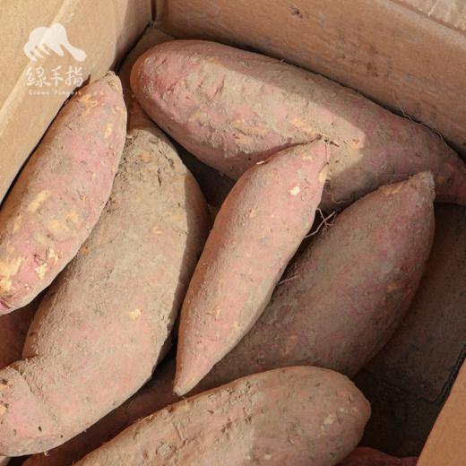 生态红薯（山东：蜜薯/哈密白/老品种山药白）| 合作生产*Ecological sweet potato| Partner Production 商品图3