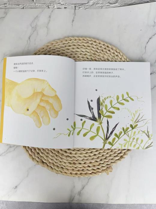 [2025新]科学之友系列2-12岁全覆盖 商品图10