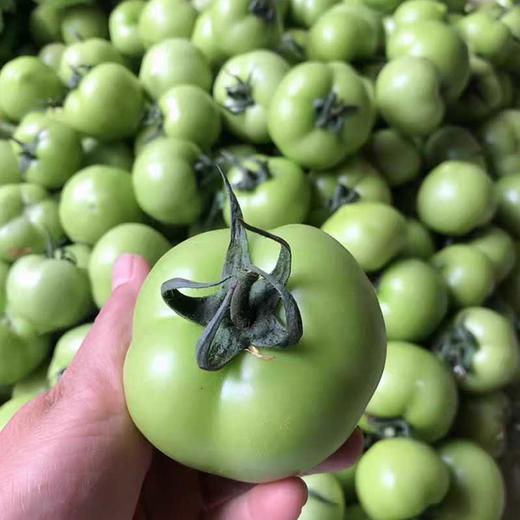 农家青西红柿新鲜未成熟 商品图1